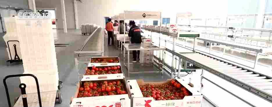 各地冬日果蔬供应量足价稳 丰富节日期间百姓“菜篮子”“果盘子”