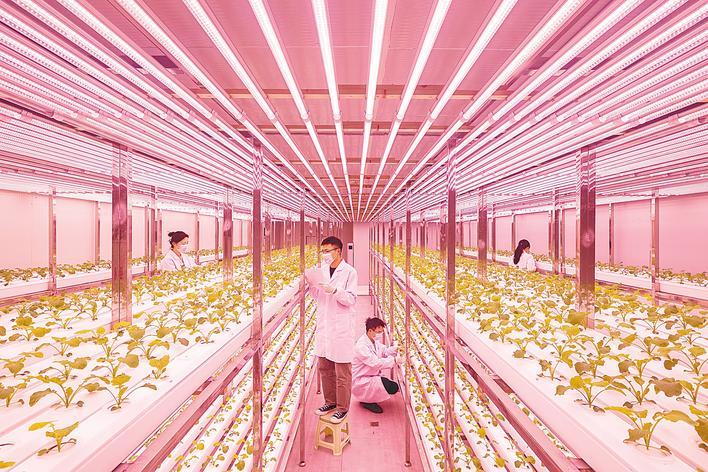 智耕沃野 新时代鱼米之乡迈向农业强省