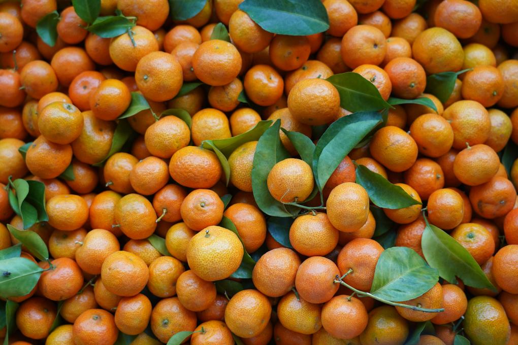 沙糖桔上市，怎样找到最好吃的那一颗？