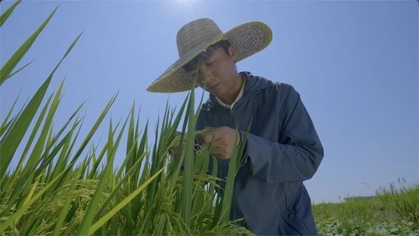 把知识“种”进田野，新农人交出“硬核”答卷