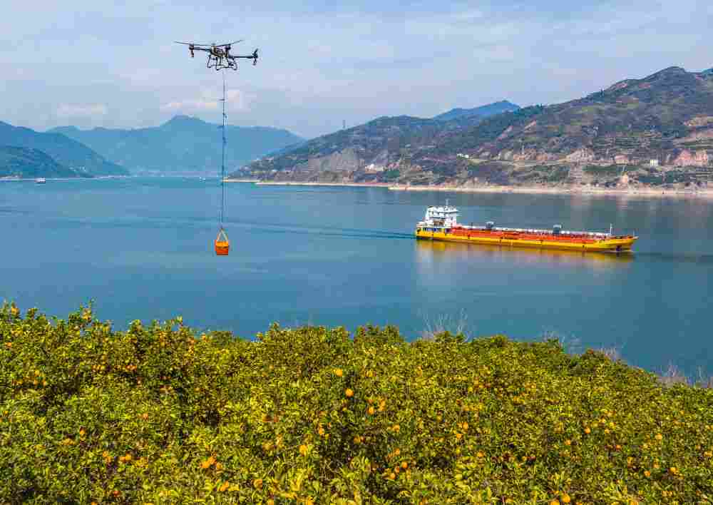 “鱼米之乡”万象新