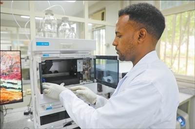 牛羊有了“身份证”，村民收入更稳定