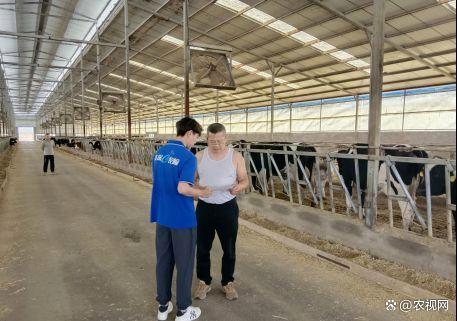 从“愁得不行”到“心里踏实”，山西大同金融创新为奶农纾困解忧｜金融助力奶业发展