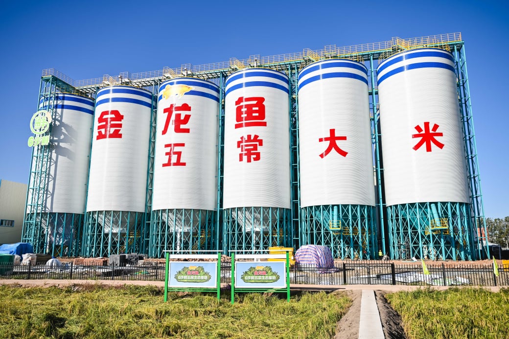 双第一实至名归！金龙鱼6步鲜大米：国际品质巅峰+全国销量第一，循环经济赋能产业升级