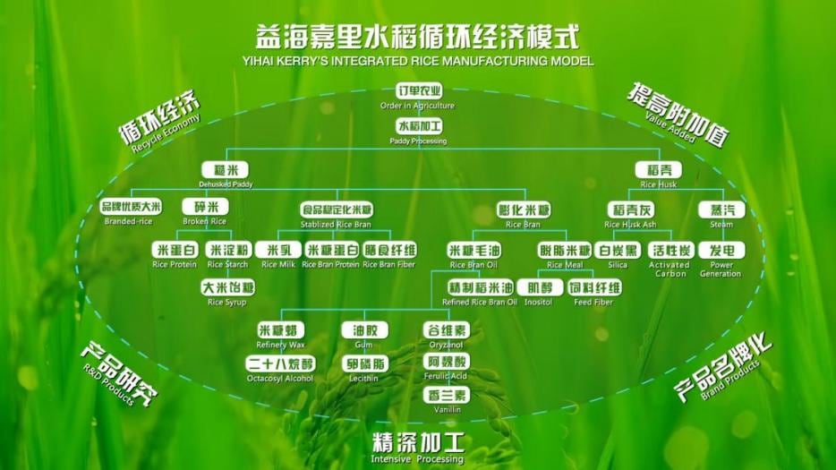 双第一实至名归！金龙鱼6步鲜大米：国际品质巅峰+全国销量第一，循环经济赋能产业升级