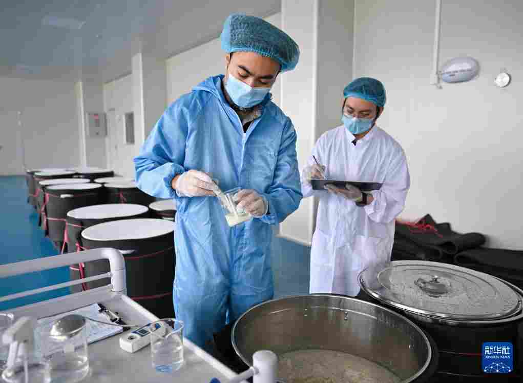 海南文昌：糟粕醋“酿”出特色产业