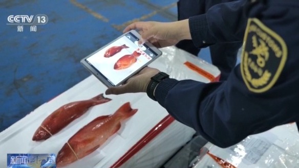 年货“涌进来”，中国味“走出去” 解锁春节消费的双向活力