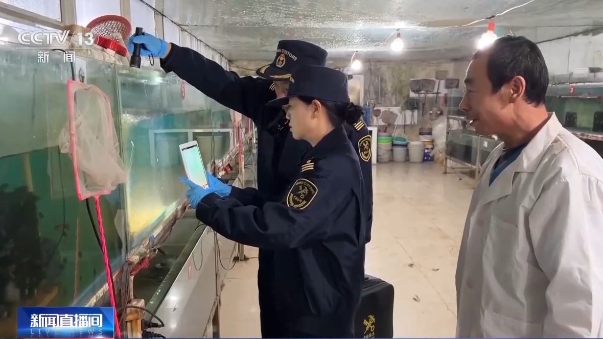 年货“涌进来”，中国味“走出去” 解锁春节消费的双向活力