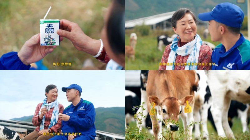 拒绝做系统的“牛马”，去云南做个“牧云人”：欧亚牛奶如何治愈都市人的精神内耗？