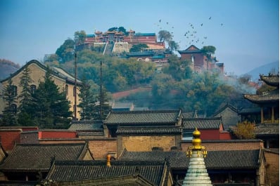 小罐茶×五台山:把五福的圆满泡进一杯茶 小罐茶×五台山:把五福的圆满泡进一杯茶