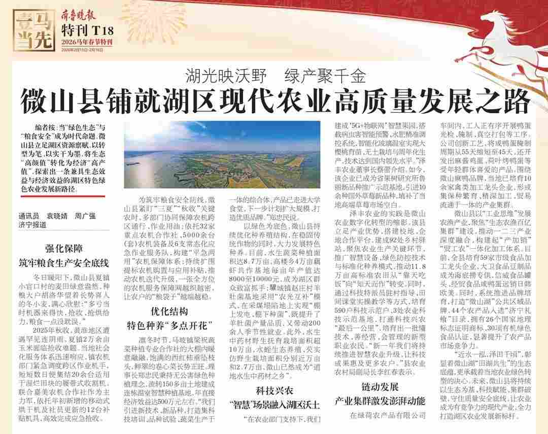 湖光映沃野·绿产聚千金｜微山县铺就湖区现代农业高质量发展之路