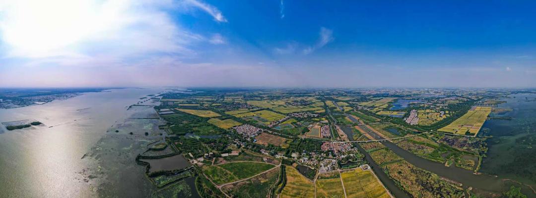 湖光映沃野·绿产聚千金｜微山县铺就湖区现代农业高质量发展之路