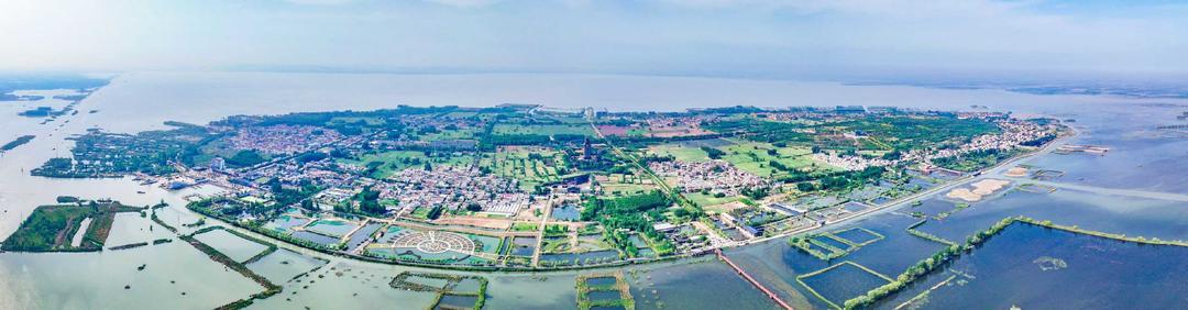 湖光映沃野·绿产聚千金｜微山县铺就湖区现代农业高质量发展之路