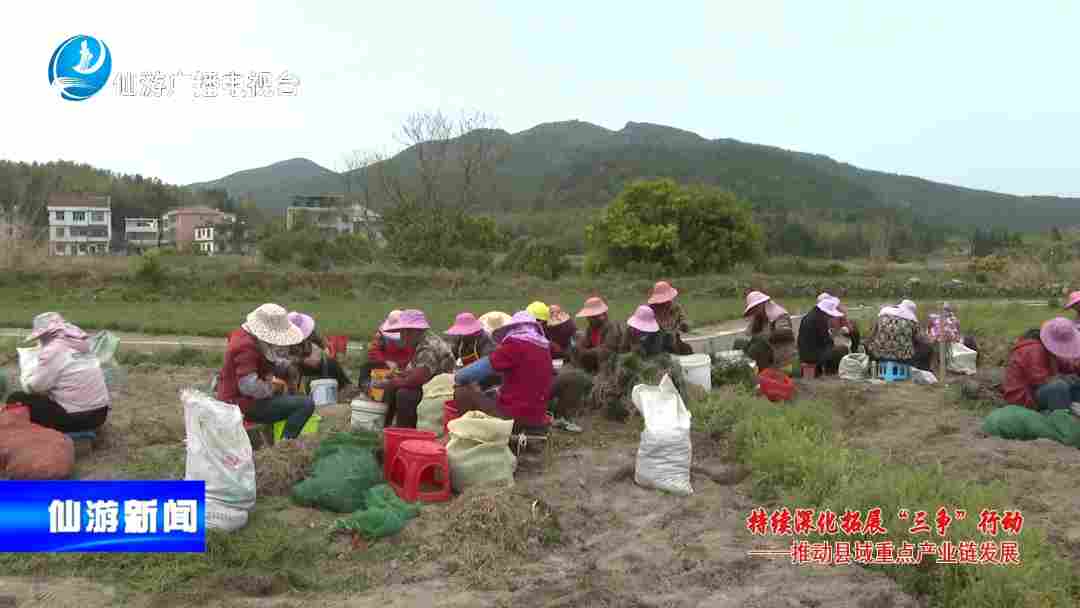 仙游钟山:打造百草园项目 绘就“药旅融合”乡村振兴新画卷 仙游钟山:打造百草园项目 绘就“药旅融合”乡村振兴新画卷