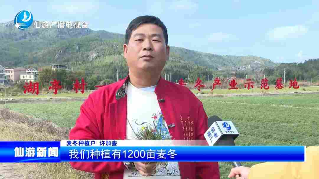 仙游钟山:打造百草园项目 绘就“药旅融合”乡村振兴新画卷 仙游钟山:打造百草园项目 绘就“药旅融合”乡村振兴新画卷