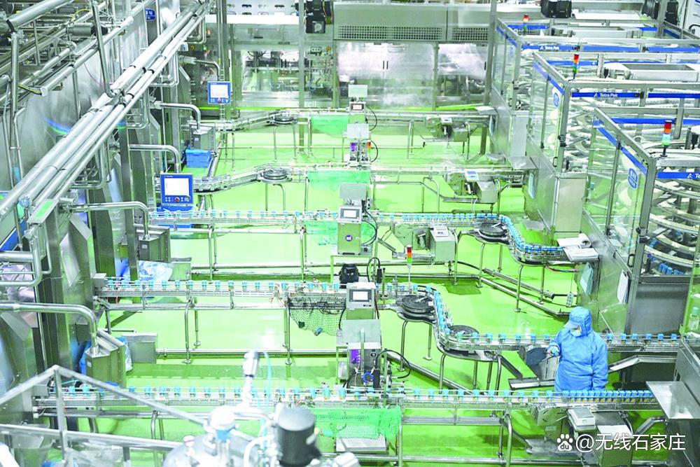 石家庄现代食品产业突破千亿大关 数智化转型激发新活力