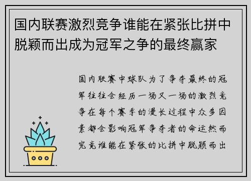 国内联赛激烈竞争谁能在紧张比拼中脱颖而出成为冠军之争的最终赢家